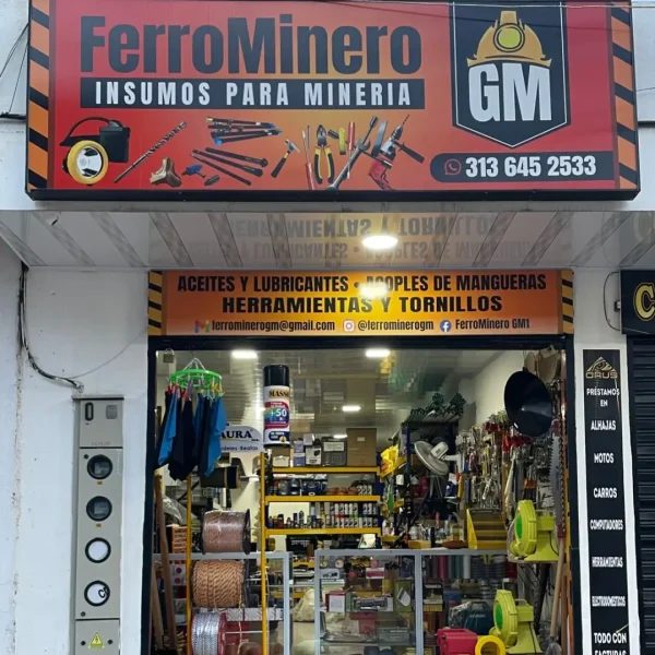 ferrominero (5)