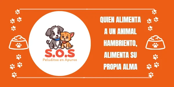 S.O.S Peluditos En Apuros, Refugió Para Gatos y Perros