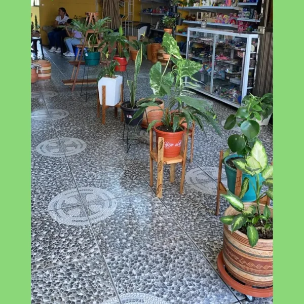 VIVERO (3)