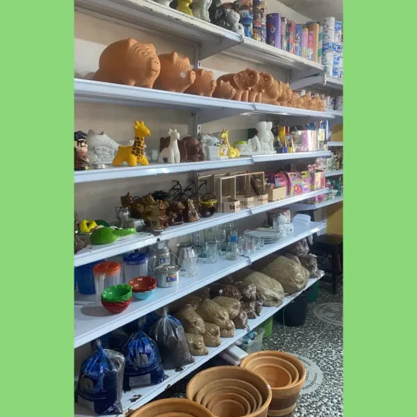 VIVERO (4)
