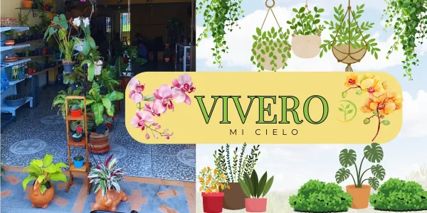 Vivero Mi Cielo